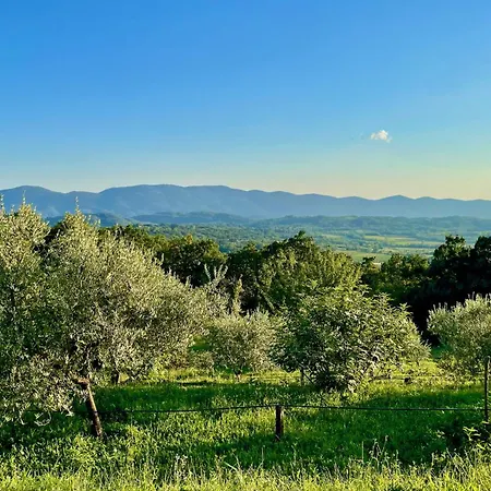 Vipava View *