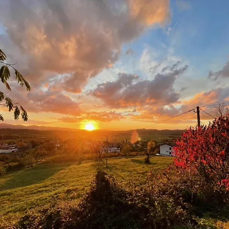 Vipava View *