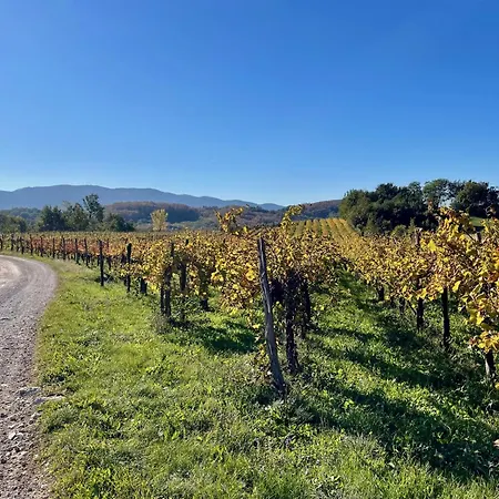 Vipava View Apartamento