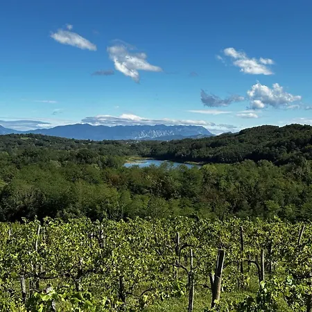 Apartman Vipava View *