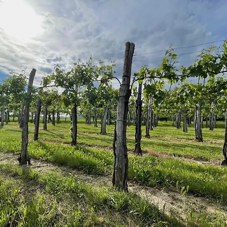 Vipava View Apartman *