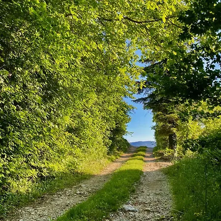 Vipava View *
