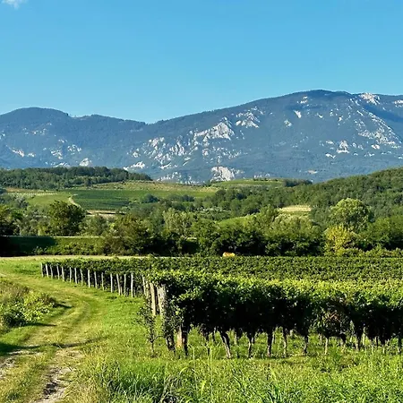 Apartman Vipava View *