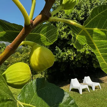 Apartman Vipava View