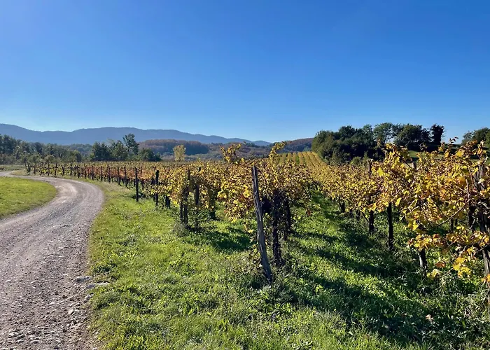 Vipava View Appartement