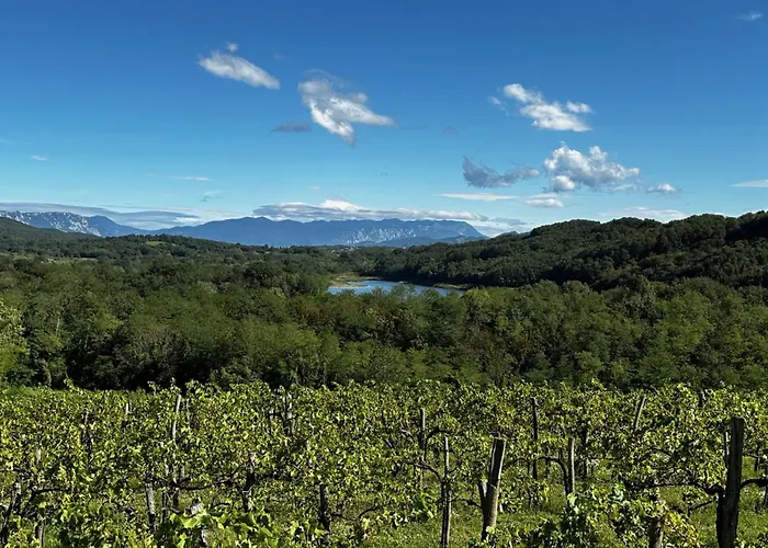 Apartma Vipava View *