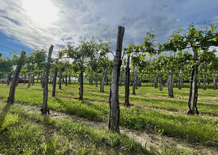 Vipava View Apartma *