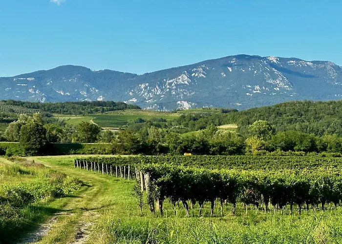 Apartma Vipava View *